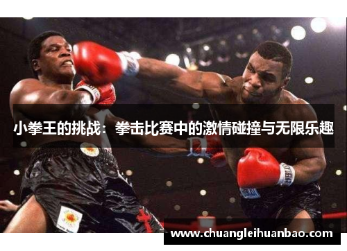 小拳王的挑战：拳击比赛中的激情碰撞与无限乐趣